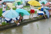 雨の散歩